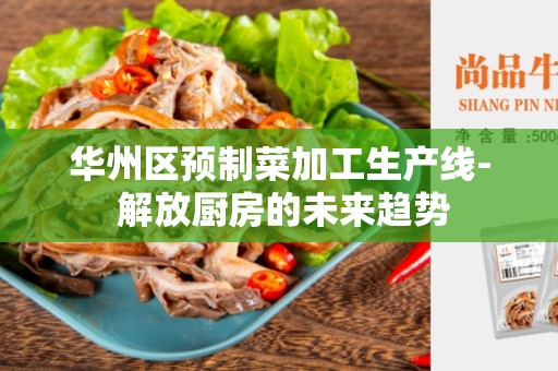 华州区预制菜加工生产线- 解放厨房的未来趋势