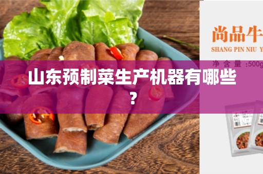 山东预制菜生产机器有哪些？