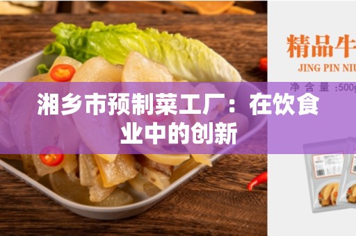 湘乡市预制菜工厂：在饮食业中的创新
