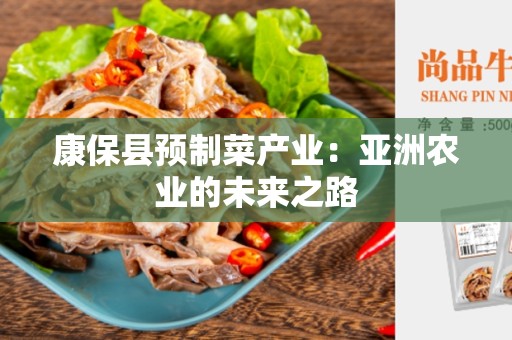 康保县预制菜产业：亚洲农业的未来之路