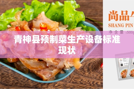 青神县预制菜生产设备标准现状