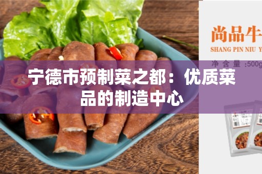 宁德市预制菜之都：优质菜品的制造中心