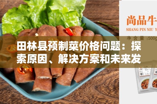 田林县预制菜价格问题：探索原因、解决方案和未来发展趋势