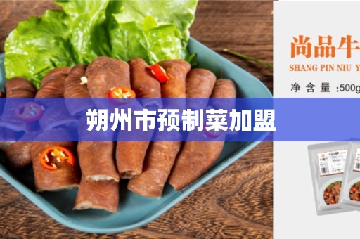 朔州市预制菜加盟