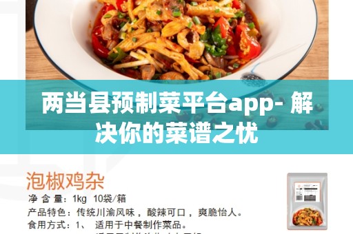 两当县预制菜平台app- 解决你的菜谱之忧