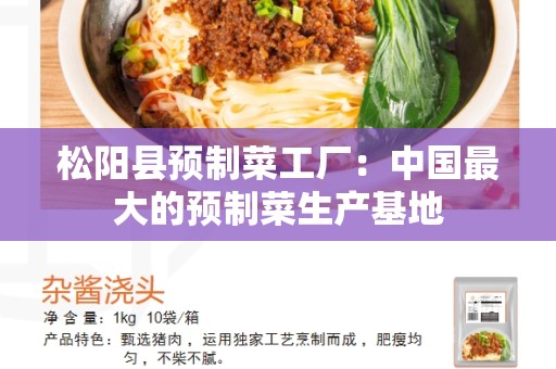 松阳县预制菜工厂：中国最大的预制菜生产基地