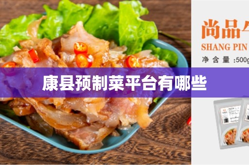 康县预制菜平台有哪些