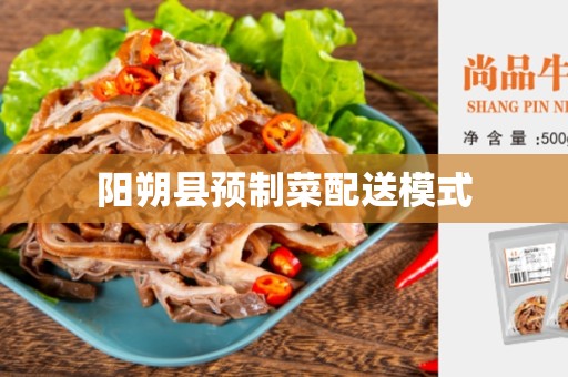 阳朔县预制菜配送模式