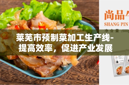 莱芜市预制菜加工生产线- 提高效率，促进产业发展