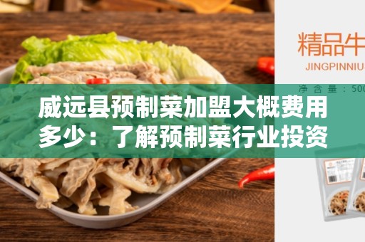 威远县预制菜加盟大概费用多少：了解预制菜行业投资成本
