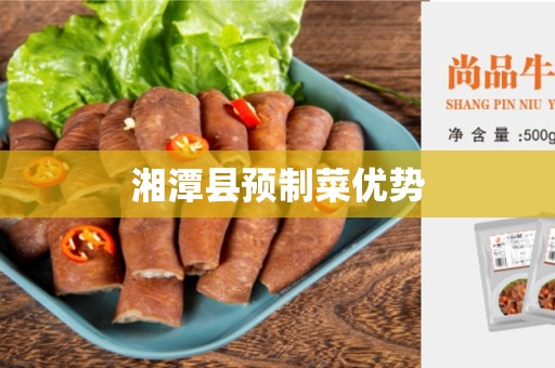 湘潭县预制菜优势