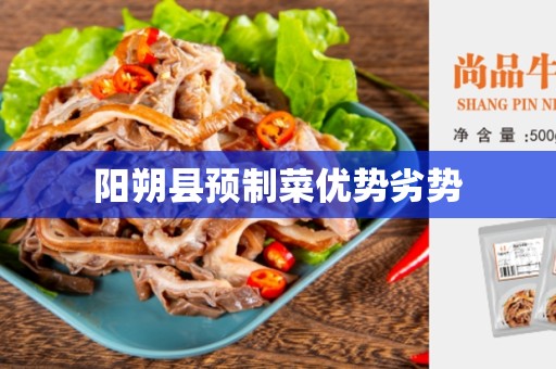 阳朔县预制菜优势劣势