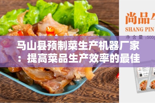 马山县预制菜生产机器厂家：提高菜品生产效率的最佳选择