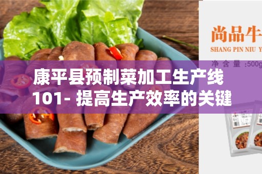 康平县预制菜加工生产线 101- 提高生产效率的关键