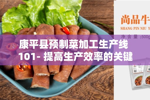 康平县预制菜加工生产线 101- 提高生产效率的关键