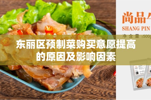 东丽区预制菜购买意愿提高的原因及影响因素