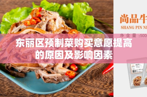 东丽区预制菜购买意愿提高的原因及影响因素