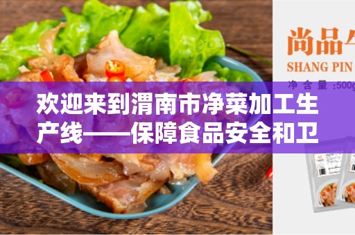 欢迎来到渭南市净菜加工生产线——保障食品安全和卫生的首选