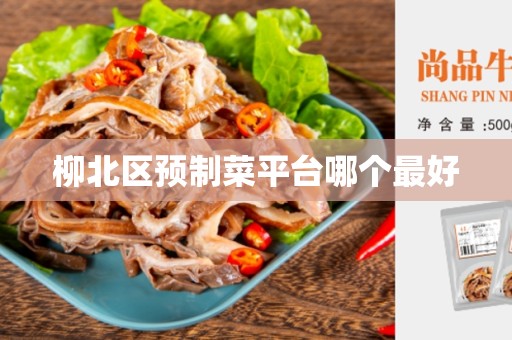 柳北区预制菜平台哪个最好