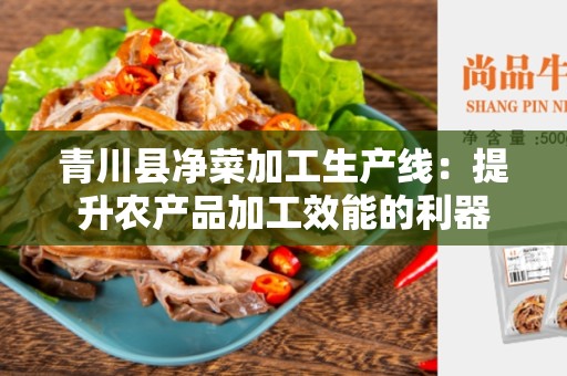 青川县净菜加工生产线：提升农产品加工效能的利器