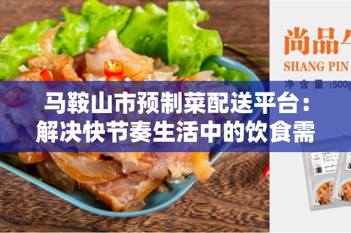 马鞍山市预制菜配送平台：解决快节奏生活中的饮食需求
