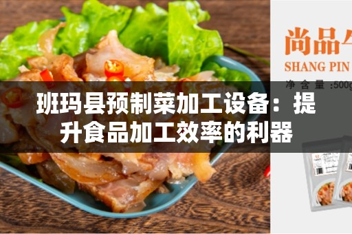 班玛县预制菜加工设备：提升食品加工效率的利器