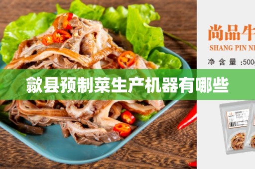 歙县预制菜生产机器有哪些