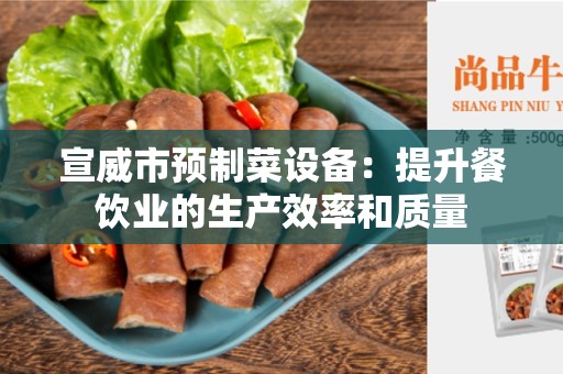 宣威市预制菜设备：提升餐饮业的生产效率和质量