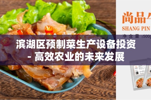 滨湖区预制菜生产设备投资- 高效农业的未来发展