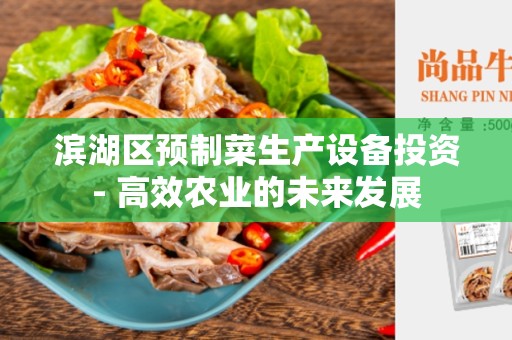滨湖区预制菜生产设备投资- 高效农业的未来发展