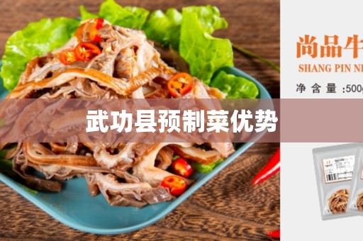 武功县预制菜优势