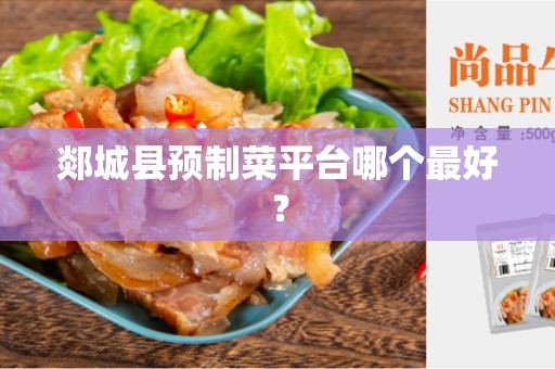 郯城县预制菜平台哪个最好？