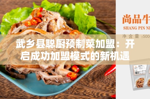 武乡县聪厨预制菜加盟：开启成功加盟模式的新机遇