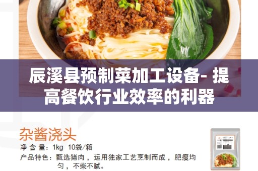 辰溪县预制菜加工设备- 提高餐饮行业效率的利器