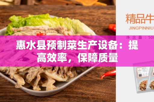 惠水县预制菜生产设备：提高效率，保障质量