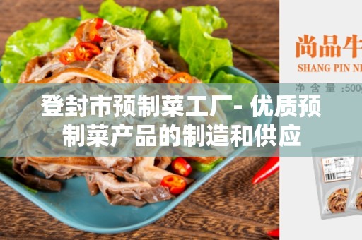 登封市预制菜工厂- 优质预制菜产品的制造和供应