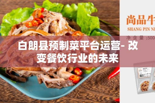 白朗县预制菜平台运营- 改变餐饮行业的未来