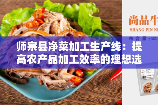 师宗县净菜加工生产线：提高农产品加工效率的理想选择