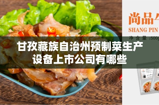 甘孜藏族自治州预制菜生产设备上市公司有哪些
