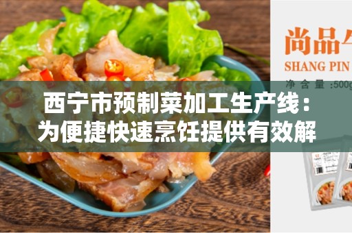 西宁市预制菜加工生产线：为便捷快速烹饪提供有效解决方案