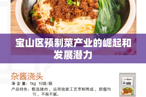 宝山区预制菜产业的崛起和发展潜力