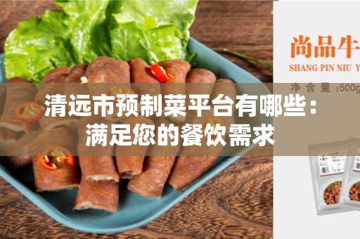 清远市预制菜平台有哪些：满足您的餐饮需求