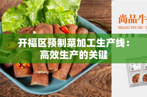 开福区预制菜加工生产线：高效生产的关键