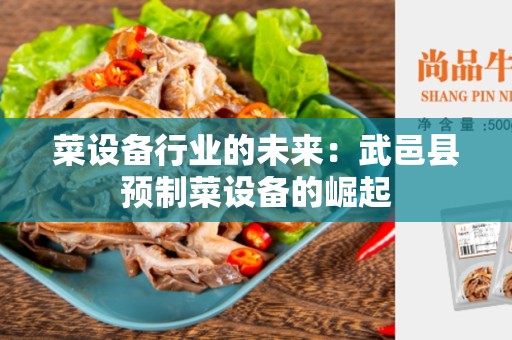 菜设备行业的未来：武邑县预制菜设备的崛起