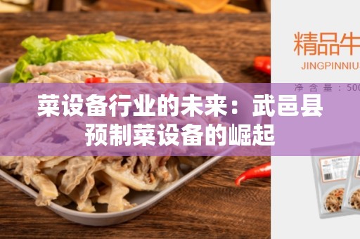 菜设备行业的未来：武邑县预制菜设备的崛起