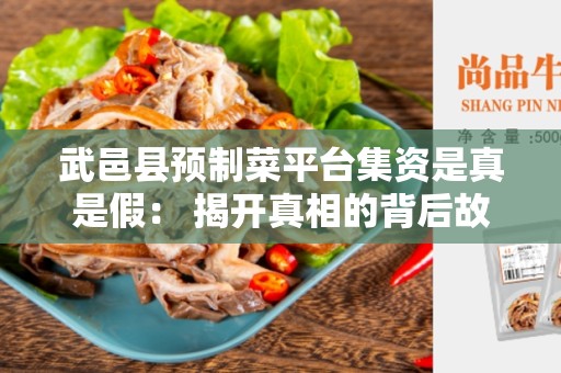 武邑县预制菜平台集资是真是假： 揭开真相的背后故事