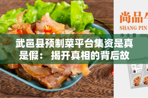 武邑县预制菜平台集资是真是假： 揭开真相的背后故事