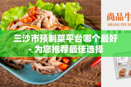 三沙市预制菜平台哪个最好- 为您推荐最佳选择