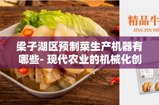梁子湖区预制菜生产机器有哪些- 现代农业的机械化创新