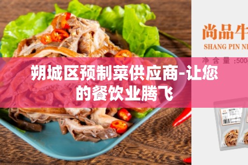 朔城区预制菜供应商-让您的餐饮业腾飞